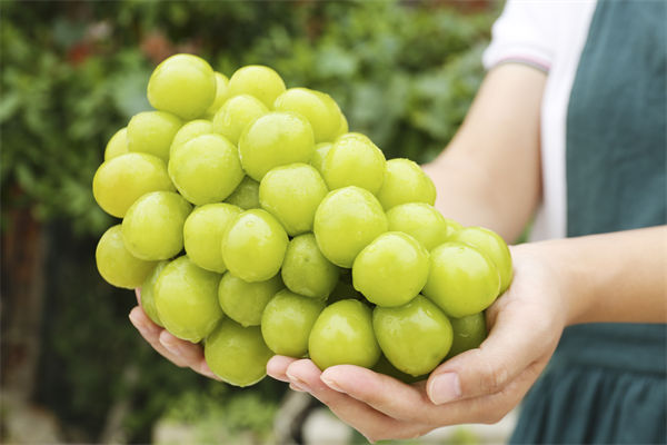 Circle掌门预测稳定币快要迎来“iPhone时刻” 股价再创新高 已经接近两周前IPO发行价的5倍