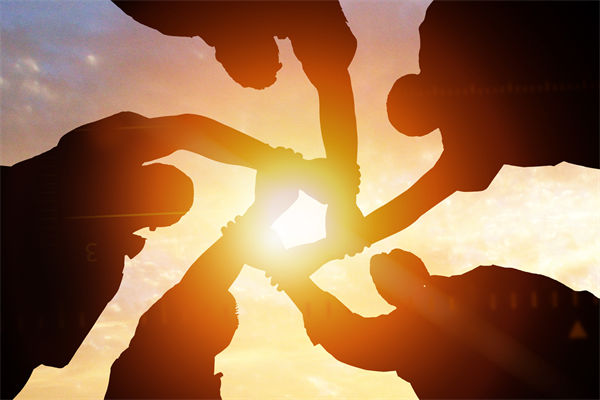 主流热点龙头个股操作策略